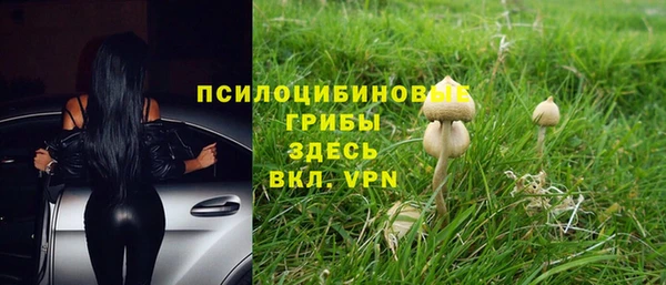 гидра Мегион