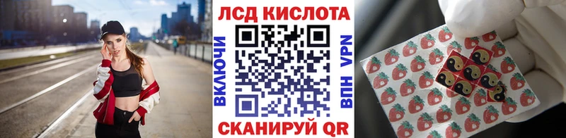 сколько стоит  дарк нет какой сайт  Марки NBOMe 1500мкг  Миллерово 